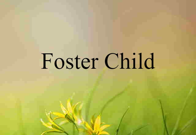 foster child