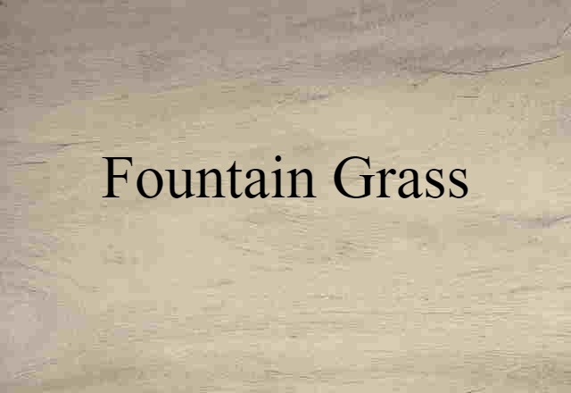 fountain grass