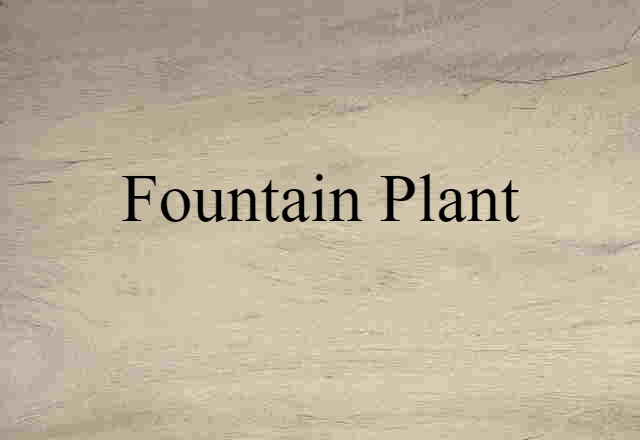 fountain plant