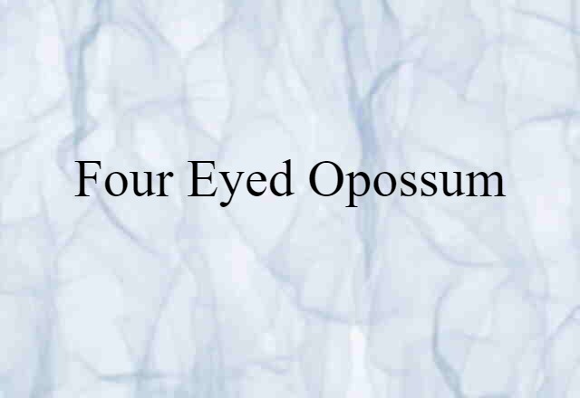 Four-eyed Opossum (noun) Definition, Meaning & Examples