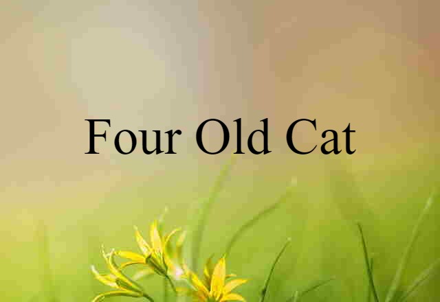 four old cat