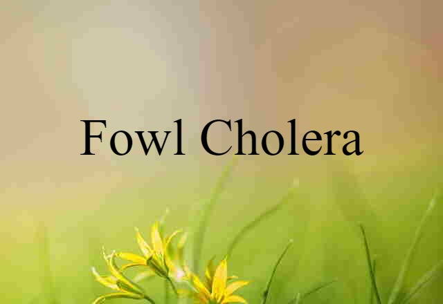 fowl cholera