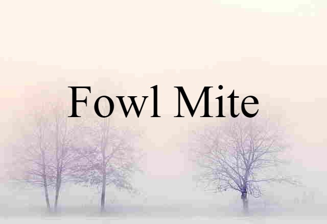 Fowl Mite (noun) Definition, Meaning & Examples