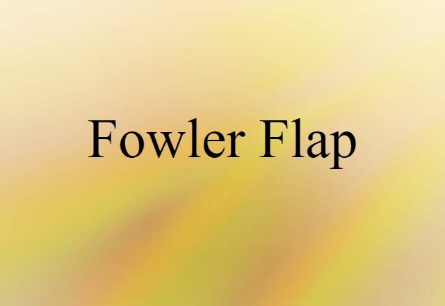 Fowler flap