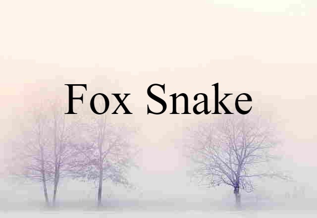 fox snake