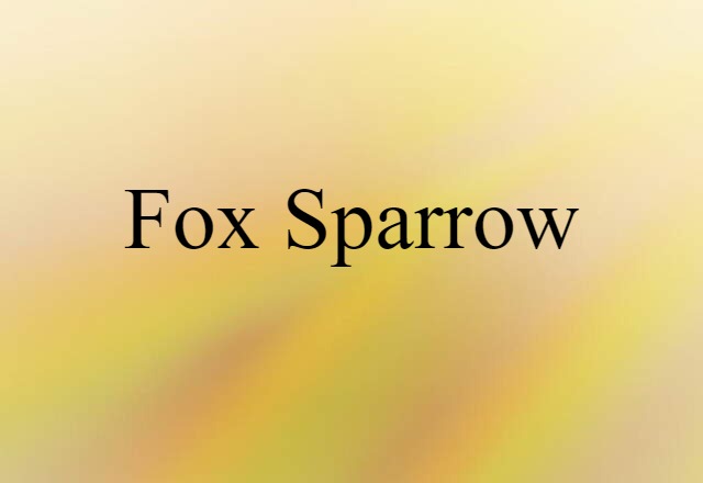 Fox Sparrow (noun) Definition, Meaning & Examples