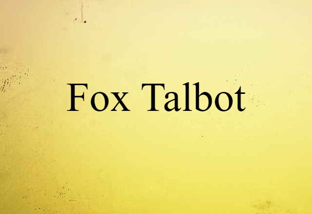 Fox Talbot (noun) Definition, Meaning & Examples