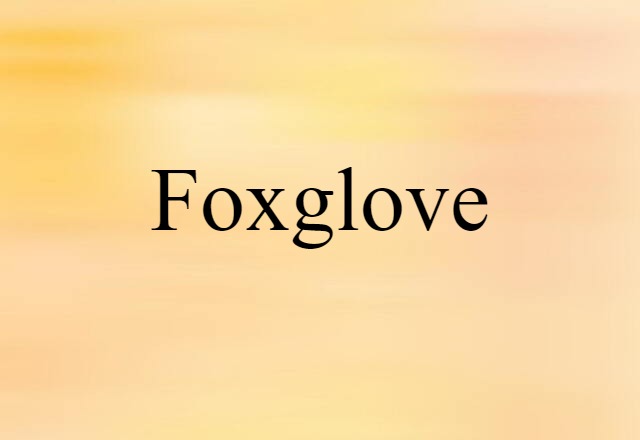 Foxglove (noun) Definition, Meaning & Examples