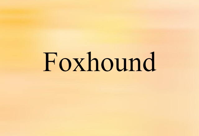 Foxhound (noun) Definition, Meaning & Examples