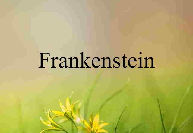 Frankenstein (noun) Definition, Meaning & Examples