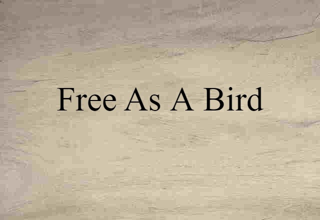 Free As A Bird (noun) Definition, Meaning & Examples