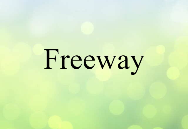 Freeway (noun) Definition, Meaning & Examples