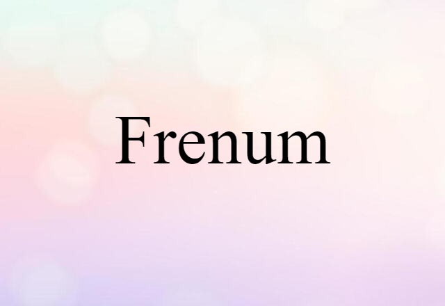 Frenum (noun) Definition, Meaning & Examples