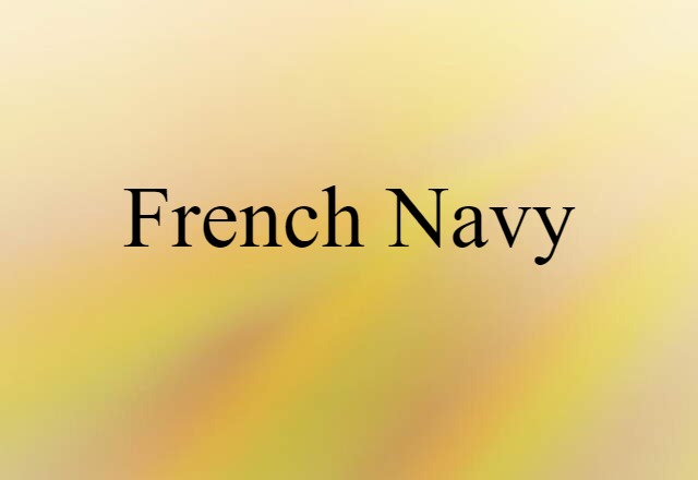 French Navy (noun) Definition, Meaning & Examples