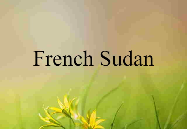 French Sudan (noun) Definition, Meaning & Examples