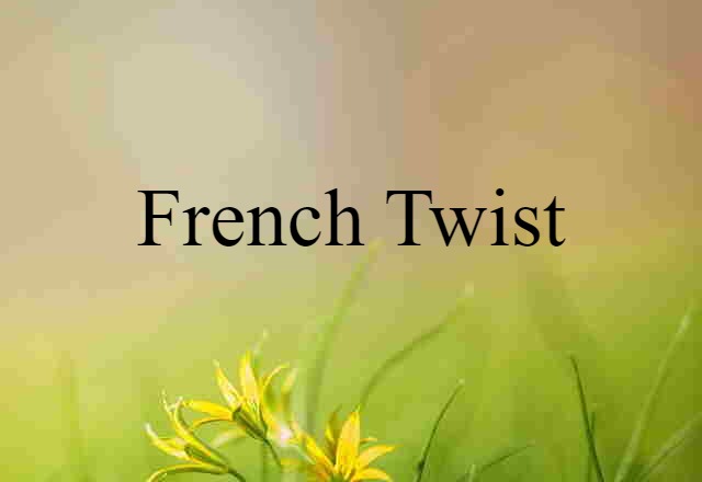 French Twist (noun) Definition, Meaning & Examples