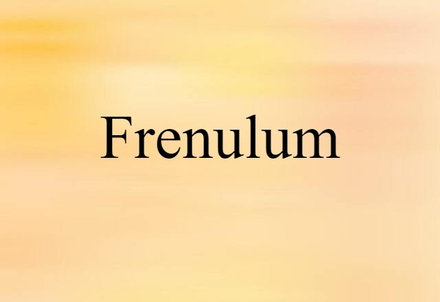 Frenulum (noun) Definition, Meaning & Examples