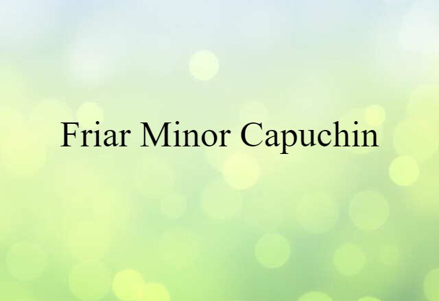 Friar Minor Capuchin