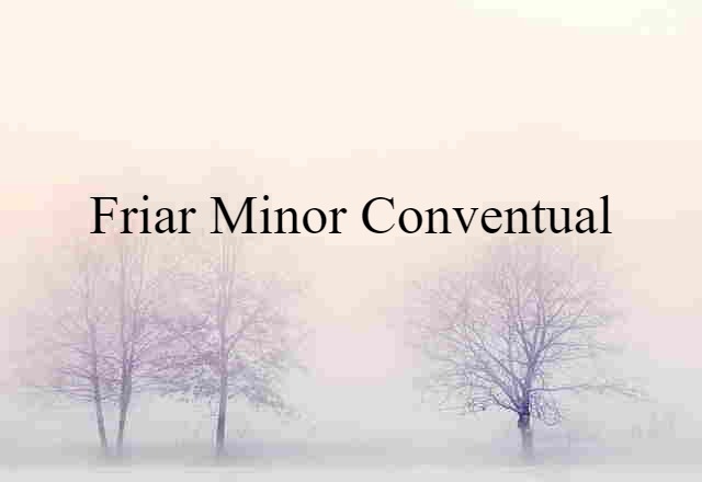 Friar Minor Conventual (noun) Definition, Meaning & Examples