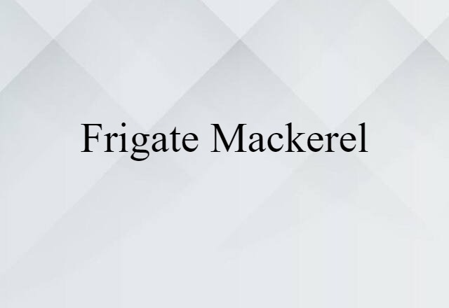 frigate mackerel