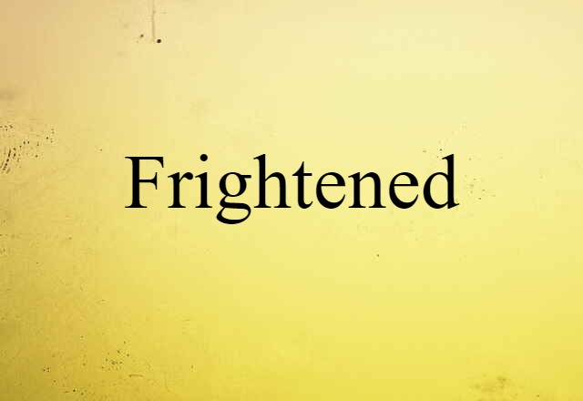 Frightened (noun) Definition, Meaning & Examples