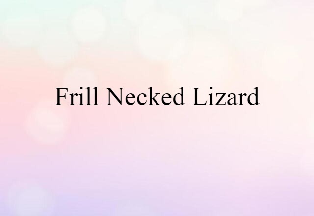 frill necked lizard