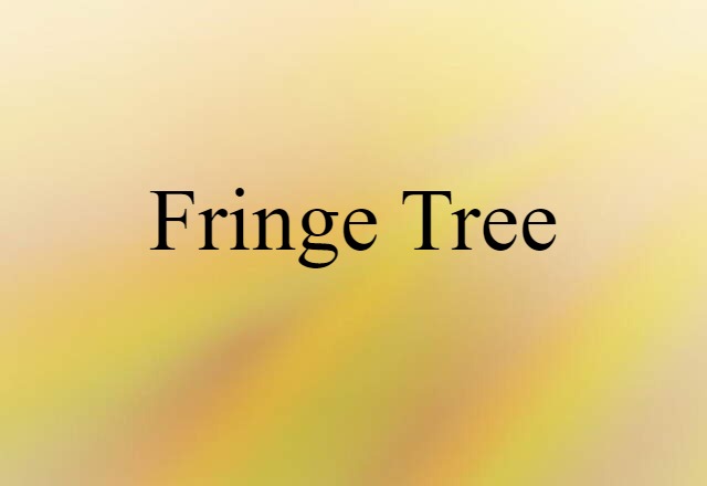 Fringe Tree (noun) Definition, Meaning & Examples