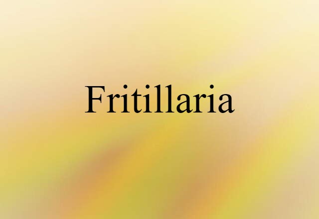 Fritillaria (noun) Definition, Meaning & Examples