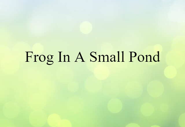 frog in a small pond