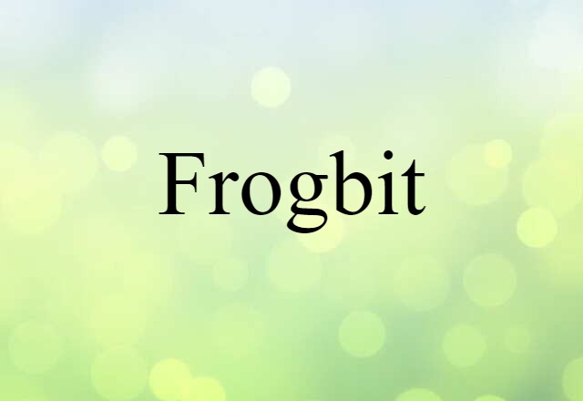 Frogbit (noun) Definition, Meaning & Examples