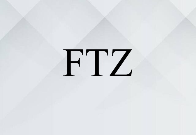 FTZ (noun) Definition, Meaning & Examples