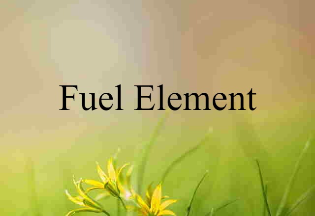 Fuel Element (noun) Definition, Meaning & Examples