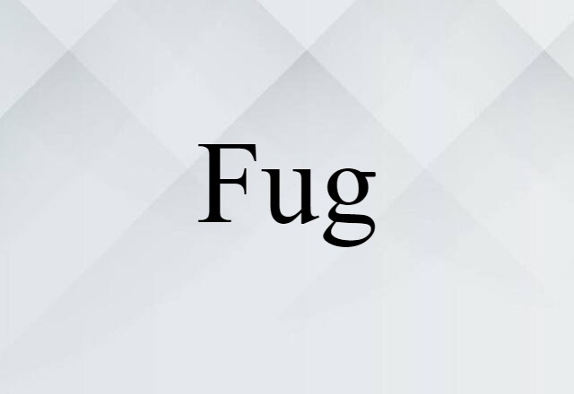 Fug (noun) Definition, Meaning & Examples