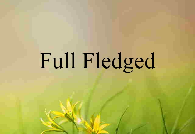 full-fledged