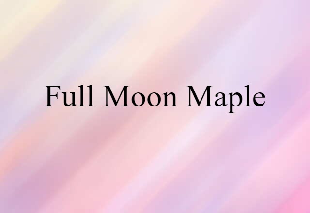 full-moon maple