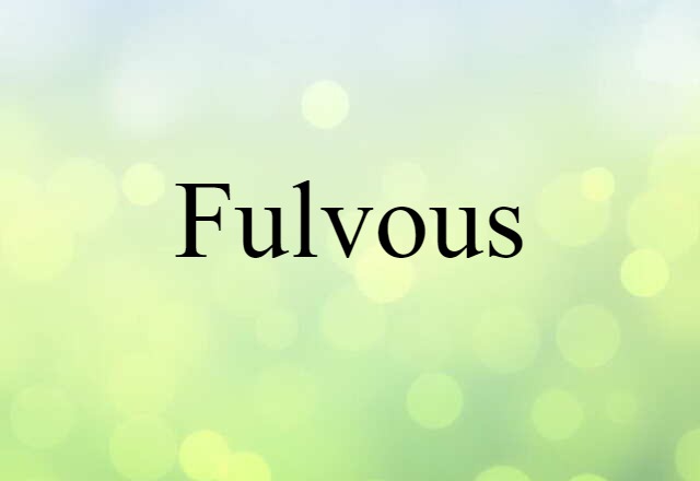 Fulvous (noun) Definition, Meaning & Examples