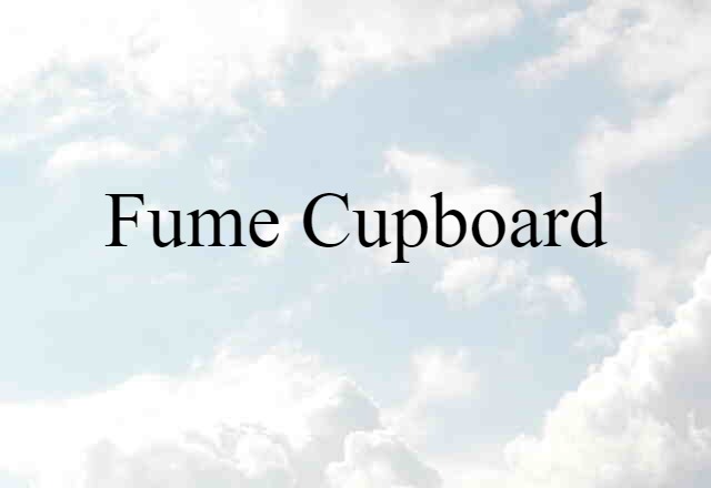 Fume Cupboard (noun) Definition, Meaning & Examples