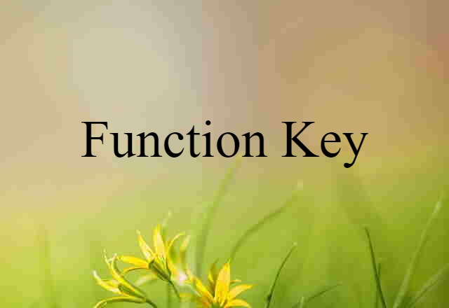 Function Key (noun) Definition, Meaning & Examples