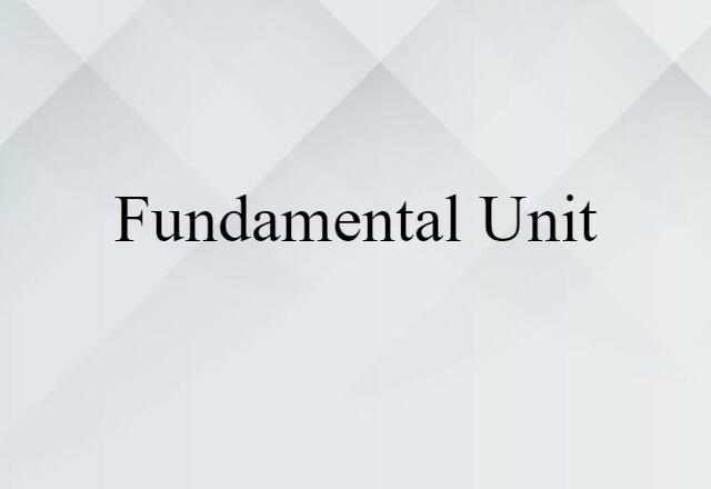 Fundamental Unit (noun) Definition, Meaning & Examples