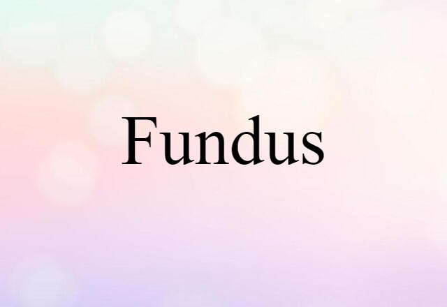 fundus