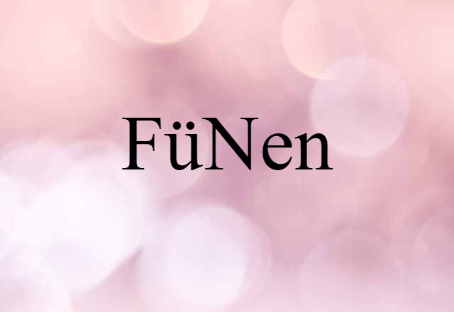 Fünen (noun) Definition, Meaning & Examples