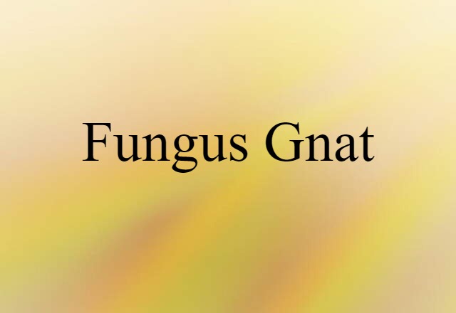 Fungus Gnat (noun) Definition, Meaning & Examples