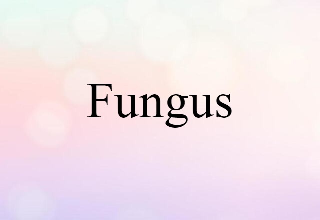 Fungus (noun) Definition, Meaning & Examples