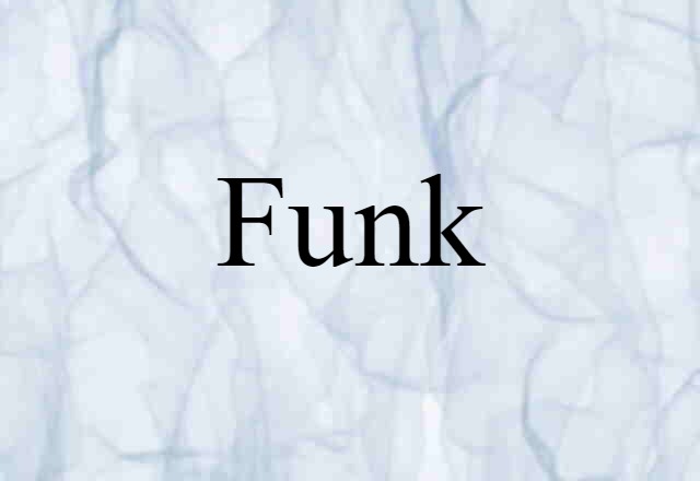 Funk (noun) Definition, Meaning & Examples