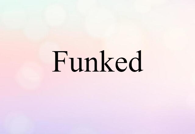 Funked (noun) Definition, Meaning & Examples