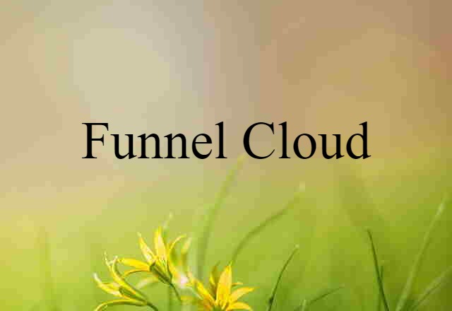 Funnel Cloud (noun) Definition, Meaning & Examples