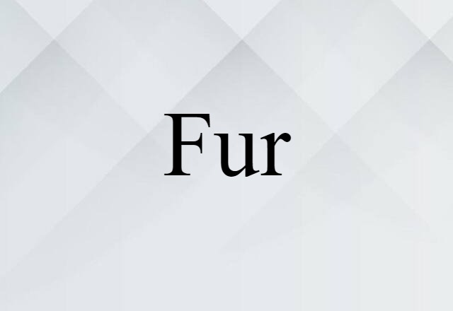 Fur (noun) Definition, Meaning & Examples