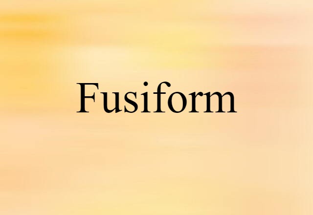 fusiform