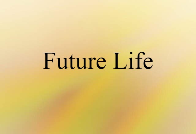 Future Life (noun) Definition, Meaning & Examples