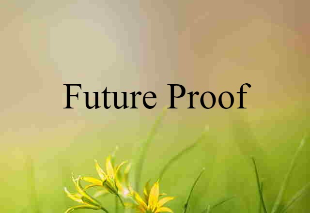 Future-proof (noun) Definition, Meaning & Examples